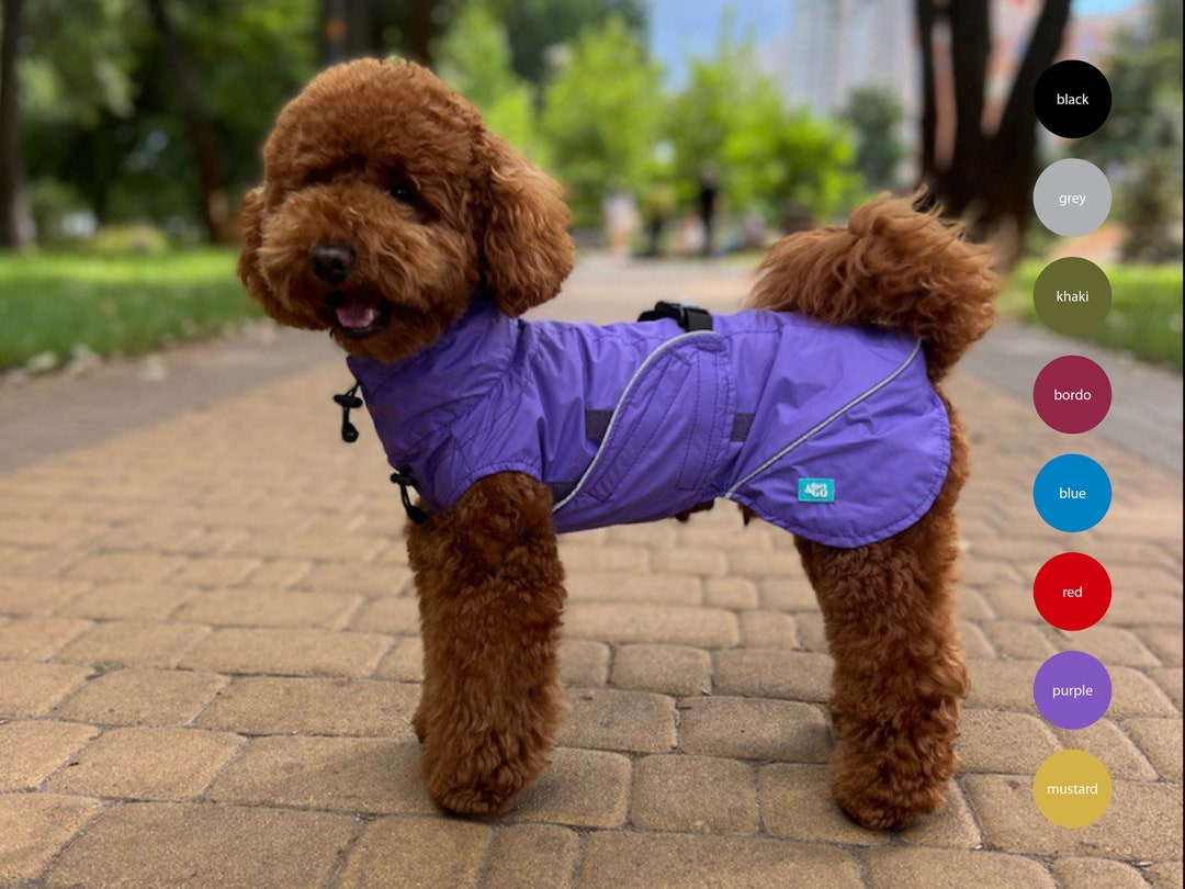 Waterproof Dog Raincoat Monocolor ALL Breeds Mesh / Fleece Etsy Hong Kong