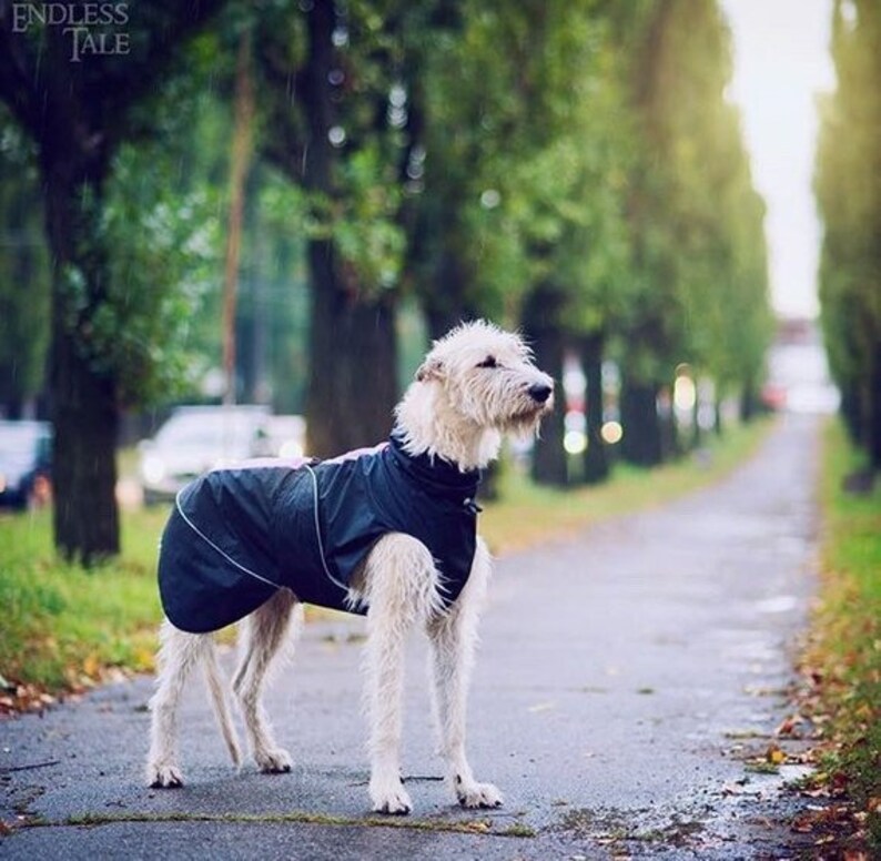 Large Breed Waterproof Dog Raincoat FLEECE or Mesh lining Etsy