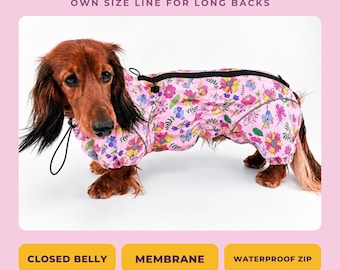 Dachshund Raincoat, Waterproof Rain Suit with Legs for Doxie and Sausage Dog, Long Back Cut, Fully Closed Belly, Pink Floral Print