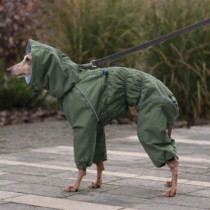 Waterproof Dog Raincoat for Italian Greyhound (Levrette), Sighthound: Whippet, Greyhound "Monocolor"