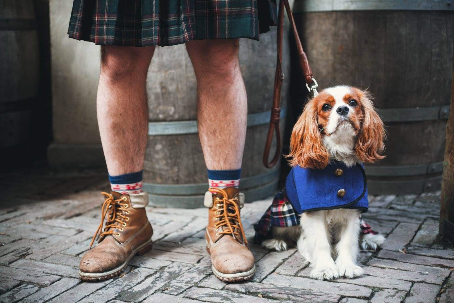 Scottish Kilt Dog Coat Dog Coat Dog Clothing Pet Etsy