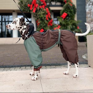 Könnte beinhalten: Ein Dalmatiner-Hund trägt einen braunen und grünen Hundeanzug mit einer karierten Kapuze. Der Hund ist an der Leine und steht auf einer gepflasterten Oberfläche. Das Fell des Hundes ist weiß mit schwarzen Flecken.