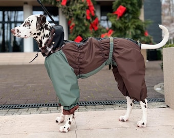 Waterproof Dog Raincoat, Tartan Flannel, Dark Academia Style