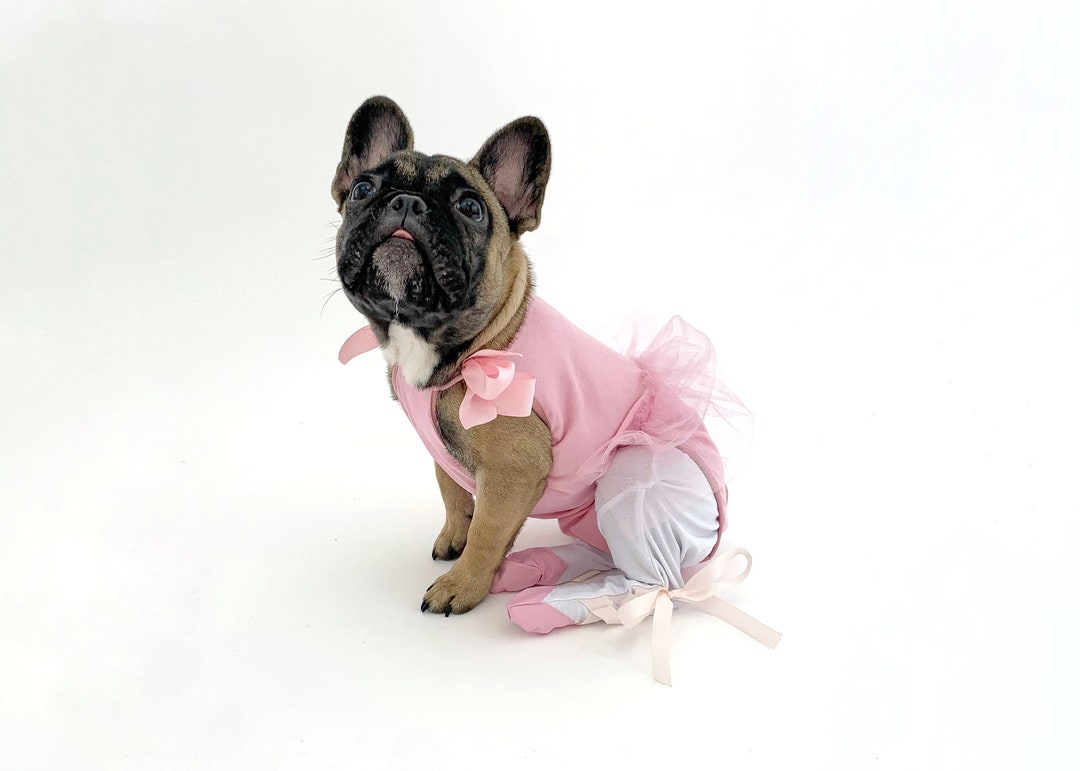 Ballerina Dog Costume Halloween Costume Dog Dress Etsy
