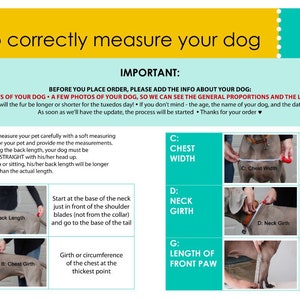 May include: A guide on how to correctly measure your dog for a custom dog tuxedo. The guide includes illustrations of a dog with measurements labelled for back length, chest girth, chest width, neck girth, and length of front paw. The text includes instructions on how to measure your dog and what information to provide when placing an order.
