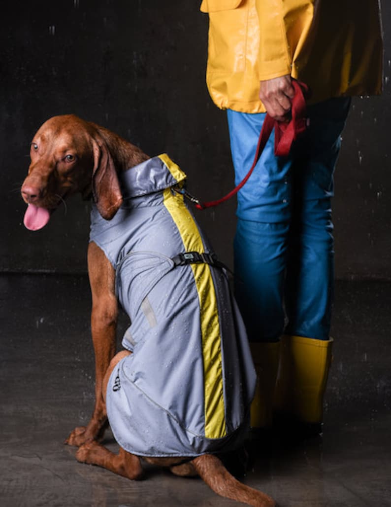 Rain Slicker Large Breed Dog Raincoat Dog Clothes Waterproof Dog Coat Dog Jacket Membrane material Fleece or Mesh Lining Windbreaker