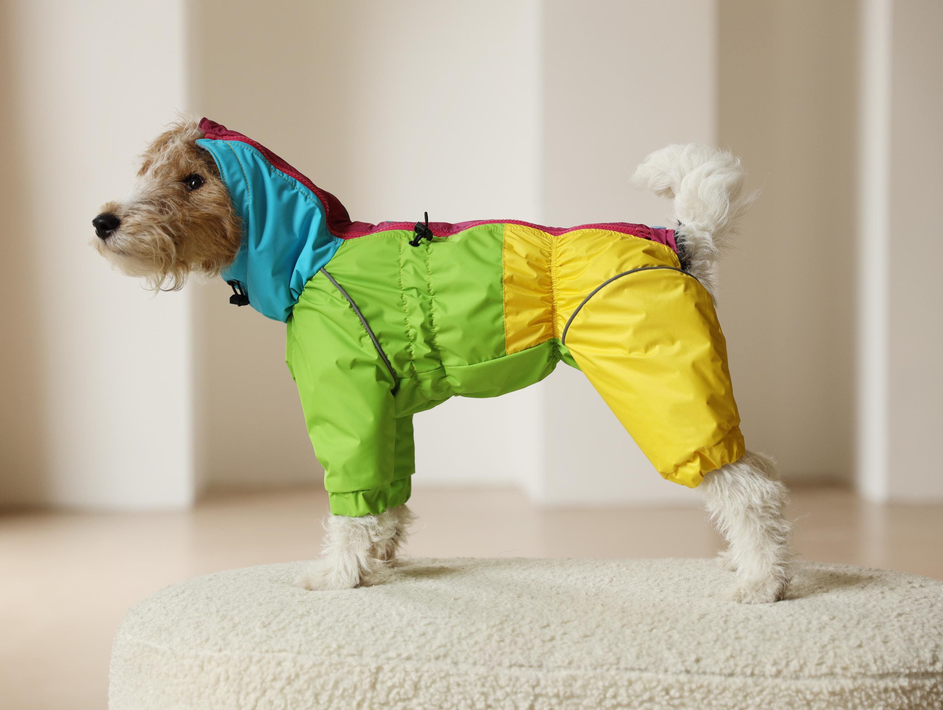 Poodle Dog Coat Winter Coats For Standard Poodles Standard Poodle