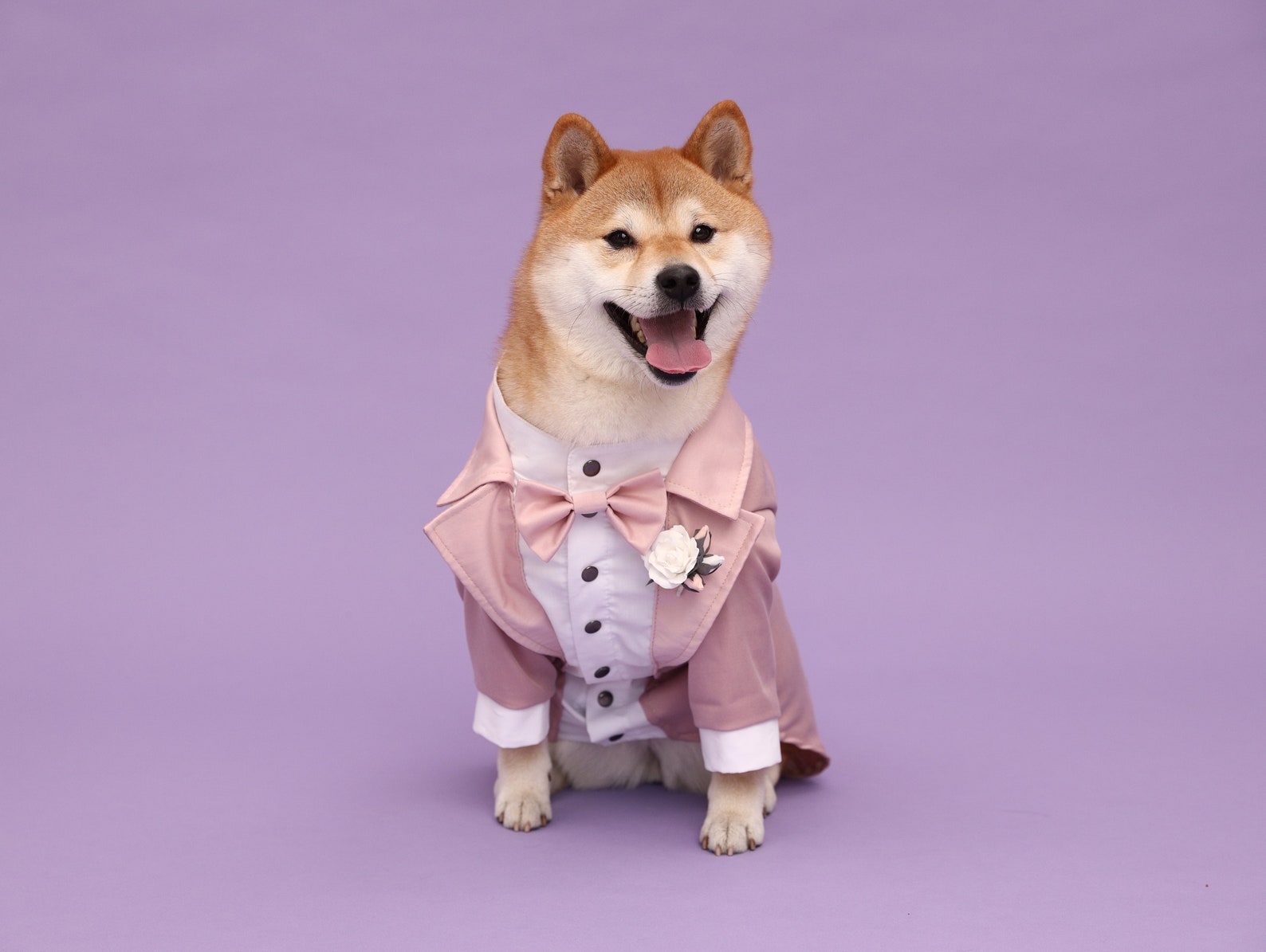 Purple Pink Dog Wedding Dress – Royal Bridal Outfit for Dogs