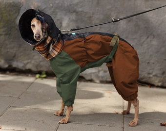 Waterproof Dog Raincoat Dark Academia for All Breeds- Terracotta Color-  MEMBRANE Fabric - Body Suit - Dog Coat - Dog Clothing - Bark&Go