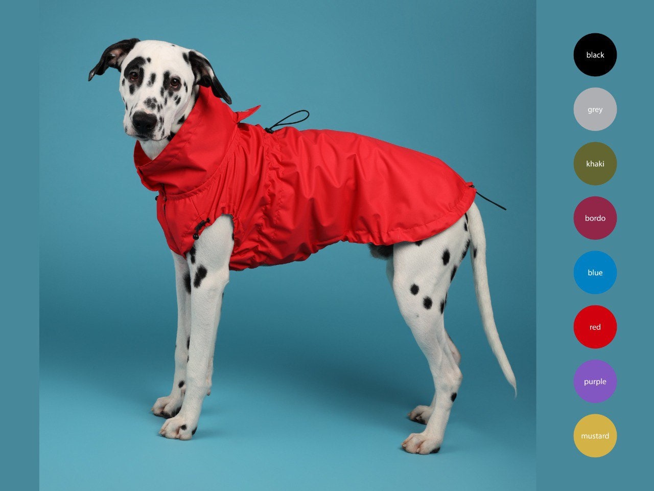 waterproof dog coat with d ring