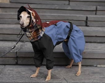 Italian Greyhound Raincoat - Waterproof Fleece Lined Dog Bodysuit