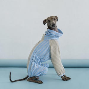 Italian Greyhound Sun Protection Suit, Lightweight Full Body Coverall, Tick & Bug Protection, Breathable Summer Dog Jumpsuit