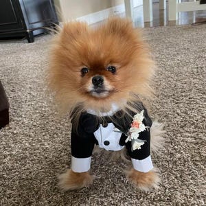 Custom Dog Wedding Tuxedo – Black Suit with Bow Tie, Formal Pet Outfit, Groom Dog Outfit, Made to Measure image 6