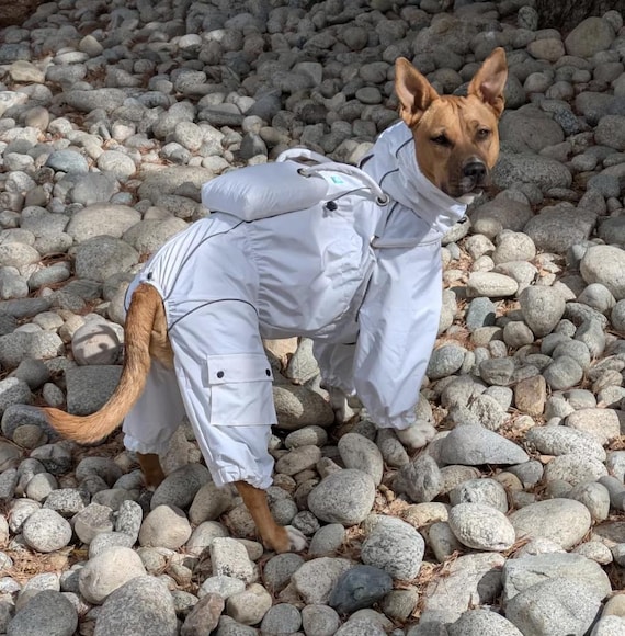 Astronaut Dog Halloween Costume, Made to Measure Reflective
