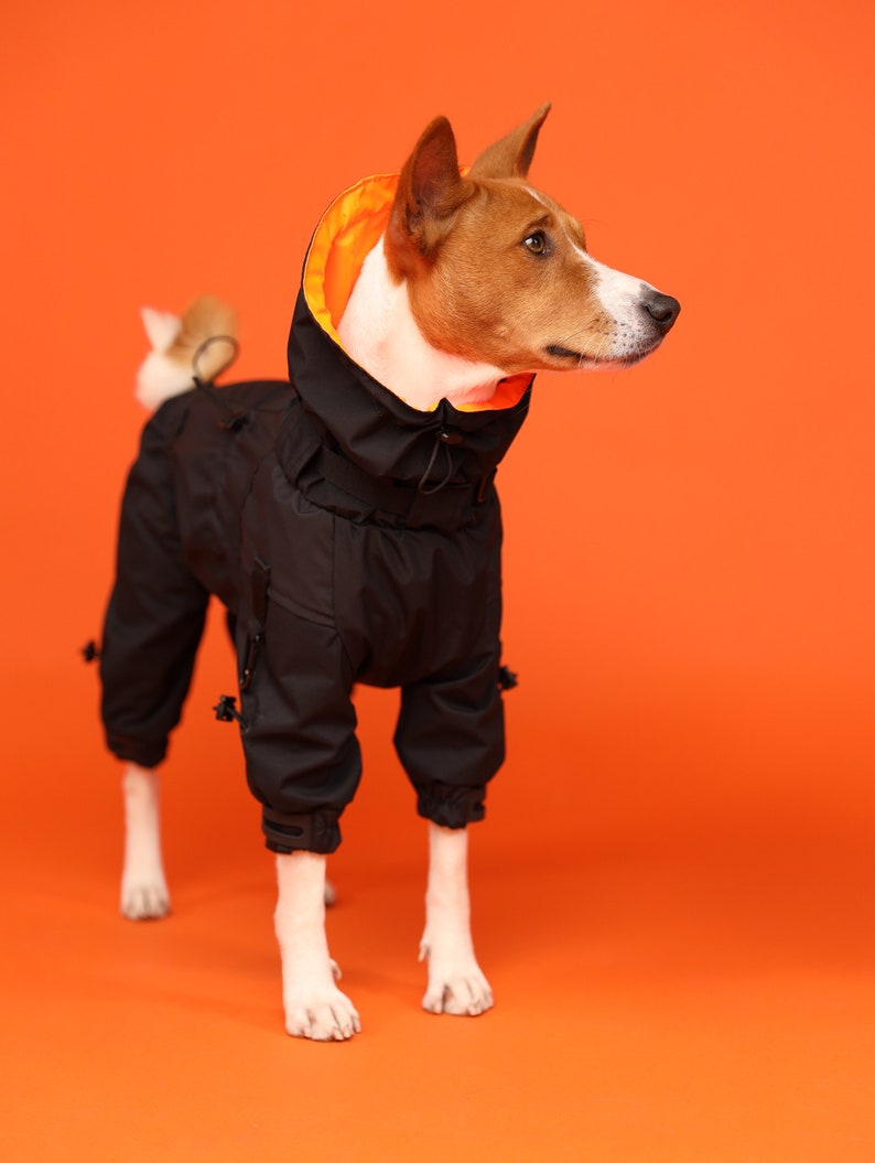 Dog Windbreaker Techwear MEMBRANE Fabric Dog Raincoat Dog Etsy