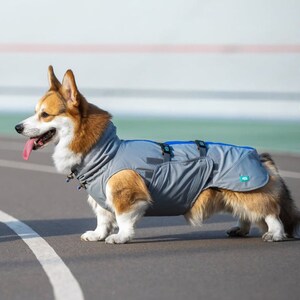 Dachshund / Corgi Waterproof Dog Raincoat, Membrane Material, FLEECE or MESH lining, Waterproof and Windproof Dog Coat, Dog RaincoatBark&Go