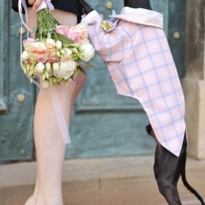 Pink Tartan Dog Tuxedo Wedding Black Tie Dog Wedding Bow Tie Flower Boutonniere Dress Code Dog outfit Dog BirthdayBark&Go image 4