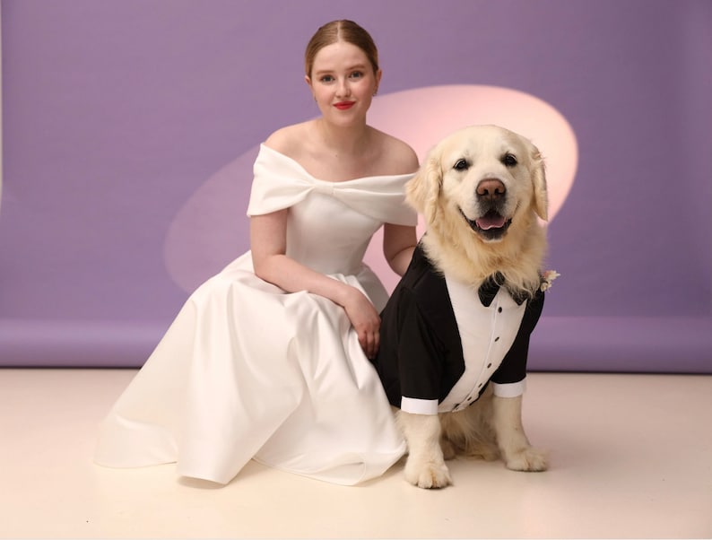 May include: A woman in a white wedding dress sits with a golden retriever wearing a black tuxedo. The dog is wearing a white bow tie and a small white flower on its lapel.