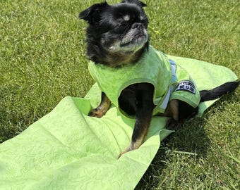 Dog Cooling Blanket – Reusable Summer Cooling Towel for Dogs & Owners