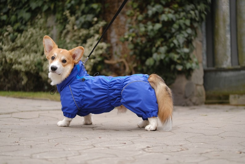 Dachshund Corgi Waterpoof Dog Raincoat MEMBRANE Fabric FLEECE or Mesh lining Bark&Go Dog Coat Dog Clothing Pet Clothes image 7