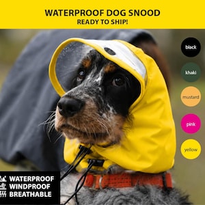 Könnte beinhalten: Ein gelber, wasserdichter Hunde-Snood mit einem transparenten Kunststoffvisier und verstellbaren schwarzen Kordelzügen am Hals. Der Text WATERPROOF DOG SNOOD, READY TO SHIP sowie WATERPROOF, WINDPROOF, BREATHABLE ist deutlich zu sehen.