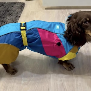 Dachshund Raincoat | Dog Raincoat | Dachshund Body Suit | Dachshund Coat | Dachshund Clothing | Pet Clothes | Raincoat for Dachshund