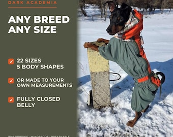 Dark Academia Dog Raincoat, Waterproof Full Body Rain Suit with Hood and Legs, Tartan Plaid Flannel Lined, Any Breed and Size
