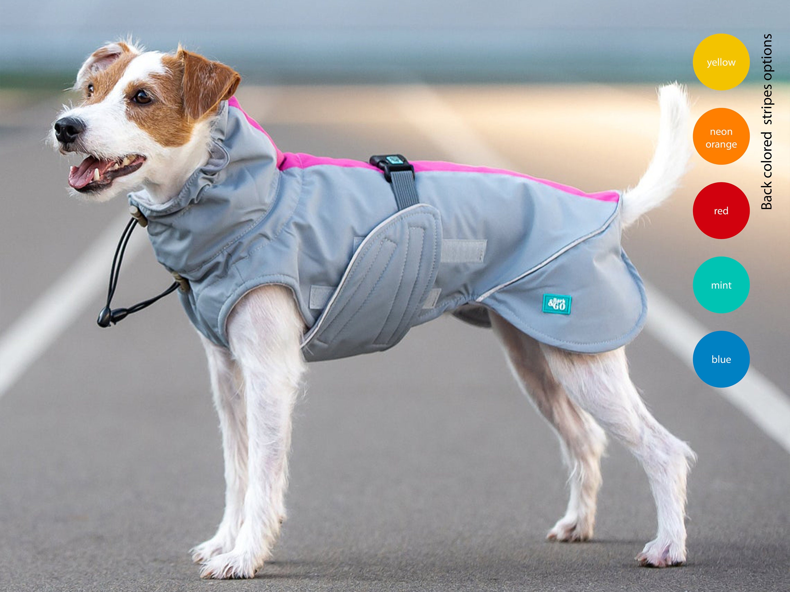 waterproof dog coat with d ring