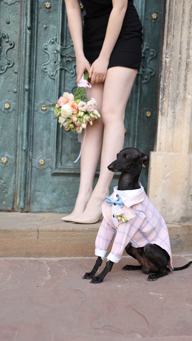Pink Tartan Dog Tuxedo Wedding Black Tie Dog Wedding Bow Tie Flower Boutonniere Dress Code Dog outfit Dog BirthdayBark&Go image 9