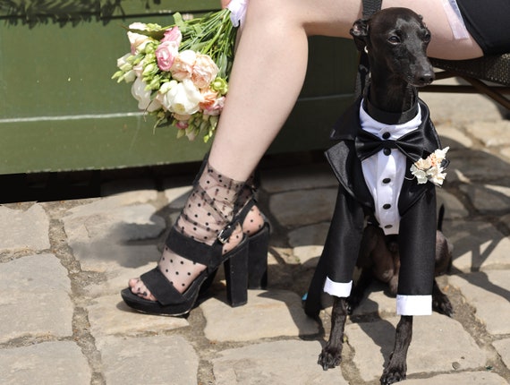 dog wedding bow