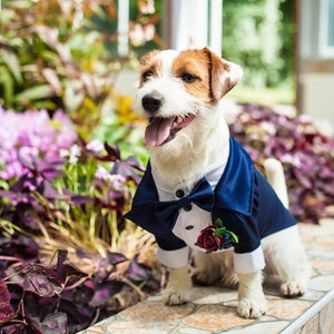 Classic NAVY Dog Tuxedo - Black Tie - Dog Wedding - Bow Tie - Flower Boutonniere - Dress Code - Evening dog outfit - Dog BirthdayBark&Go