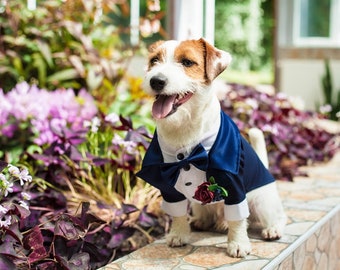 Classic NAVY Dog Tuxedo - Black Tie - Dog Wedding - Bow Tie - Flower Boutonniere - Dress Code - Evening dog outfit - Dog BirthdayBark&Go