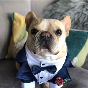 Classic NAVY Dog Tuxedo Black Tie Dog Wedding Bow Tie Flower Boutonniere Dress Code Evening dog outfit Dog BirthdayBark&Go image 7