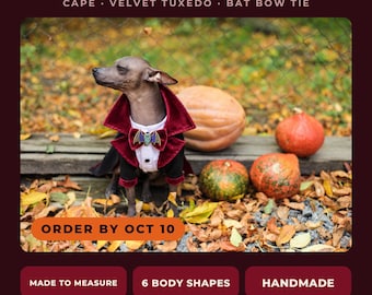 Vampire Dog Costume, Dracula Cape and Velvet Tuxedo with Bat Bow Tie, Halloween Costume for Dachshund Frenchie Whippet Labrador Any Breed