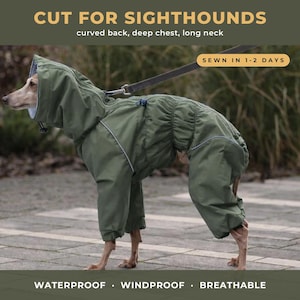 Italian Greyhound Raincoat, Waterproof Full Body Rain Suit with Hood and Legs, Whippet Sighthound Coat, Iggy Levrette, Made to Measure
