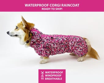 Waterproof Corgi Raincoat – Membrane Fabric, Belly Protection