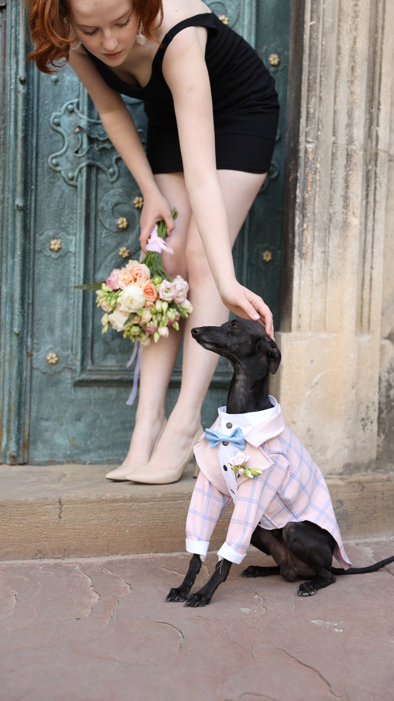 Pink Tartan Dog Tuxedo Wedding Black Tie Dog Wedding Bow Tie Flower Boutonniere Dress Code Dog outfit Dog BirthdayBark&Go image 1