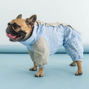 French Bulldog Sun Protection Suit, Lightweight Full Body Coverall, Tick & Bug Protection, Breathable Summer Dog Jumpsuit