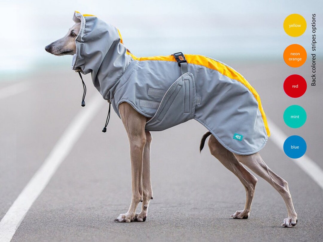 HOUND Waterproof Raincoat, Dog Coat, Rain Slicker, Dog Raincoat