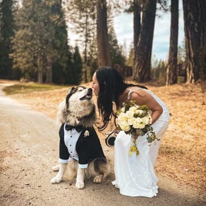 Custom Dog Wedding Tuxedo – Black Suit with Bow Tie, Formal Pet Outfit, Groom Dog Outfit, Made to Measure image 3