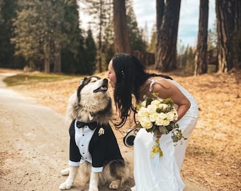 Aangepaste hondenbruiloft: klassiek zwart pak met vlinderstrik