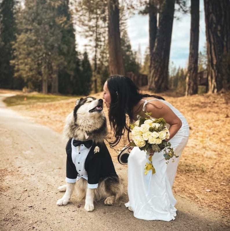 Custom Dog Wedding Tuxedo – Black Suit with Bow Tie, Formal Pet Outfit, Groom Dog Outfit, Made to Measure image 3