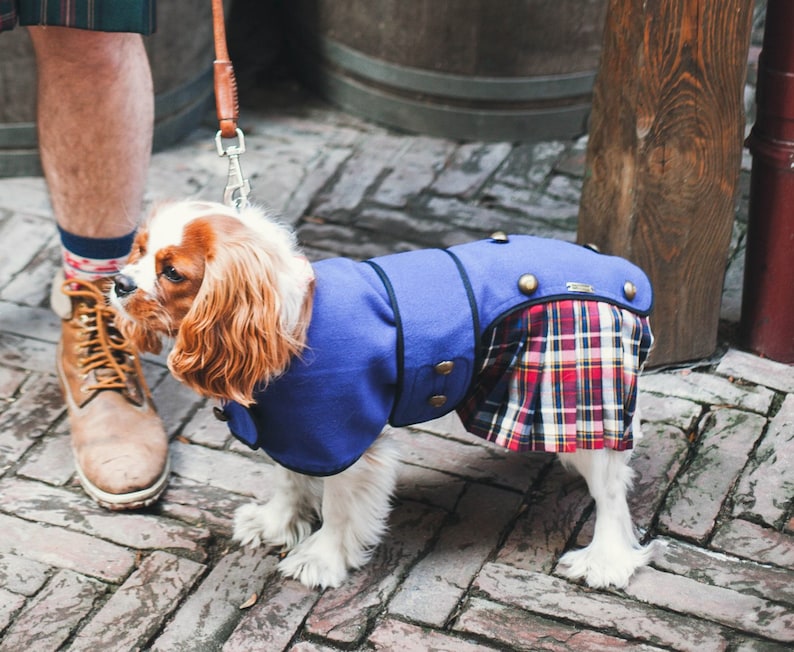 Scottish Kilt Dog Coat Dog Coat Dog Clothing Pet Etsy