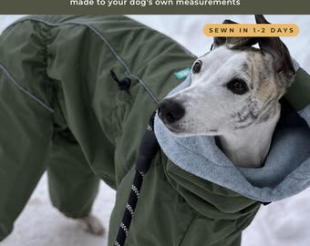 Greyhound Whippet Raincoat, Waterproof Full Body Rain Suit with Hood, Saluki Borzoi Lurcher Sighthound Coat, Made to Measure