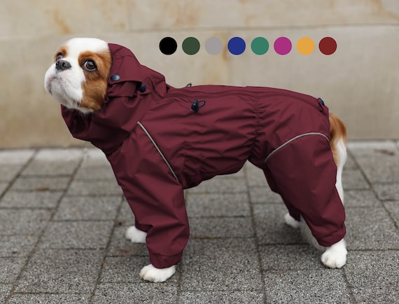 Pet dog clothes elk double padded winter coat Pet dog clothes elk double padded winter coat