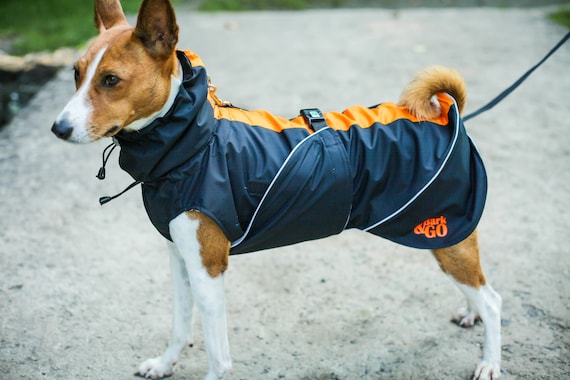 Image result for dog raincoat