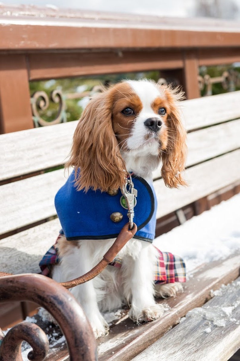 Scottish Kilt Dog Coat Dog Coat Dog Clothing Pet Etsy