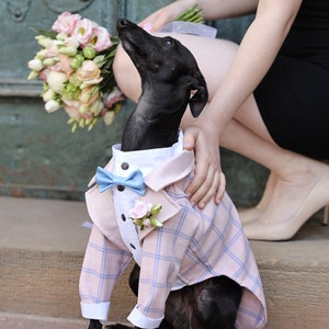 Pink Tartan Dog Tuxedo Wedding Black Tie Dog Wedding Bow Tie Flower Boutonniere Dress Code Dog outfit Dog BirthdayBark&Go image 3