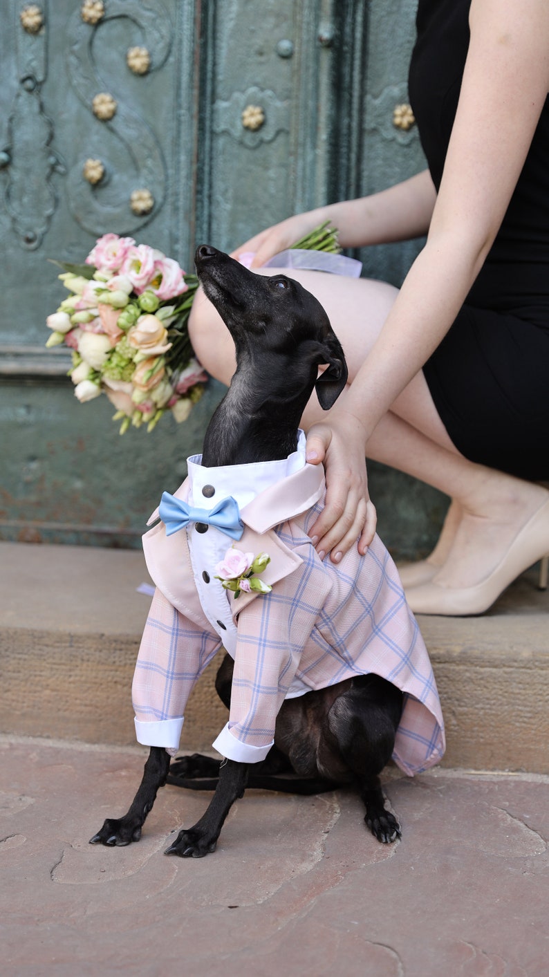 Pink Tartan Dog Tuxedo Wedding Black Tie Dog Wedding Bow Tie Flower Boutonniere Dress Code Dog outfit Dog BirthdayBark&Go image 3