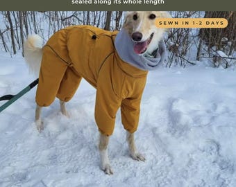 Mustard Greyhound Raincoat, Waterproof Zipper, Whippet Saluki Borzoi Sighthound Coat, Full Body with Hood, Made to Fit
